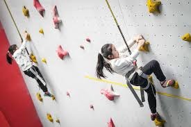 博彩行业的技术演变（博彩业技术发展历程）