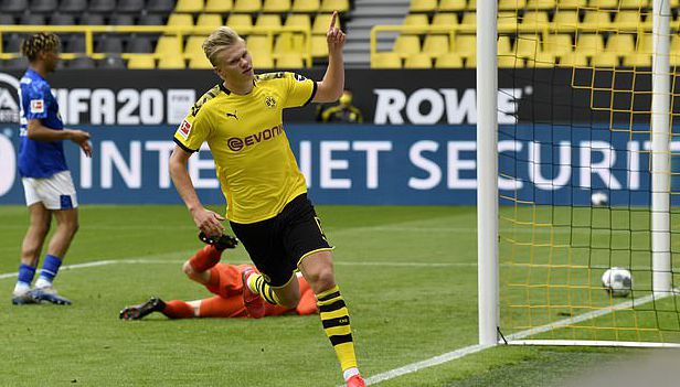 名称的选择 名称的选择