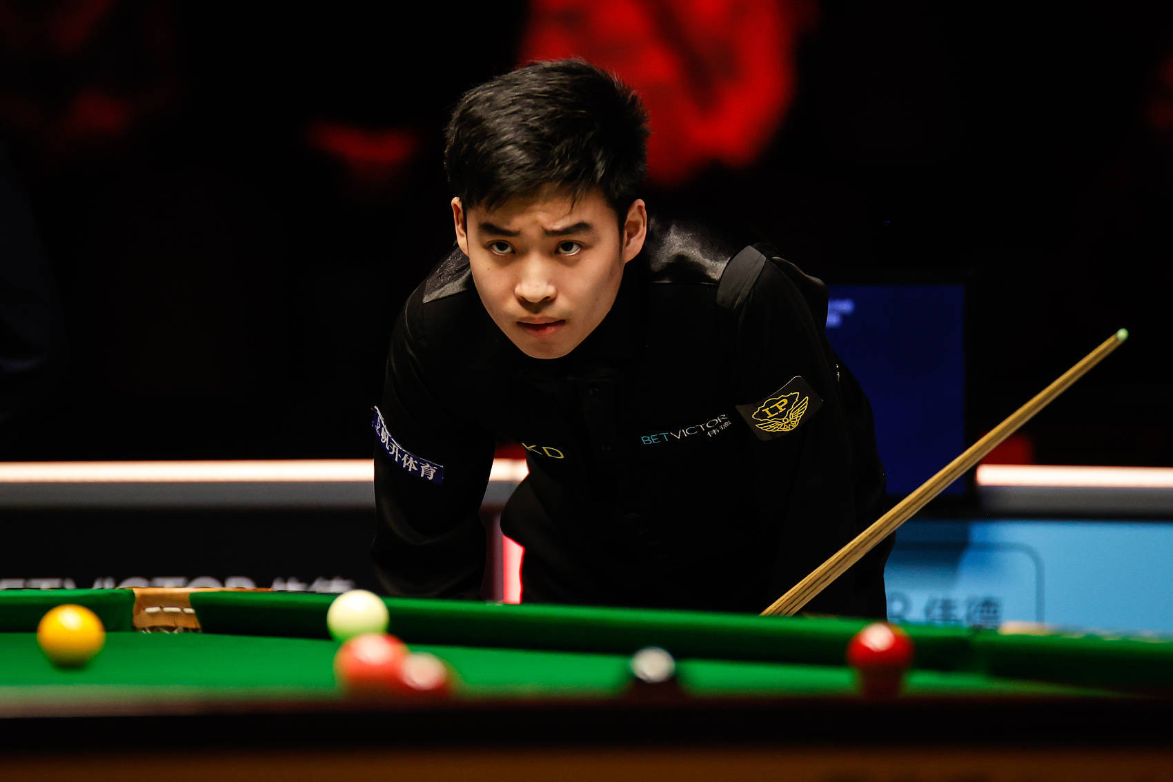 甲勒沃库森 甲勒沃库森